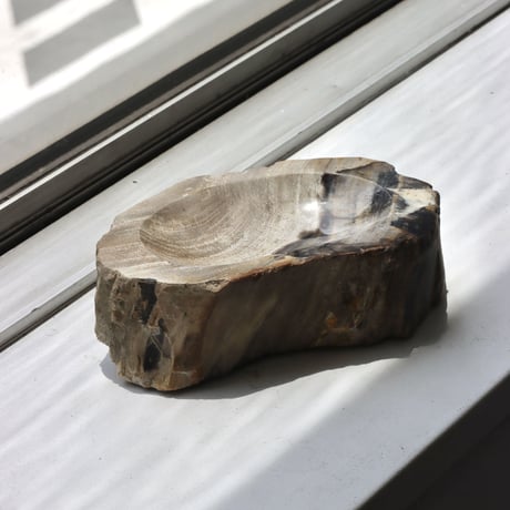 " OAK ” Petrified Wood Accessory Tray - M #445