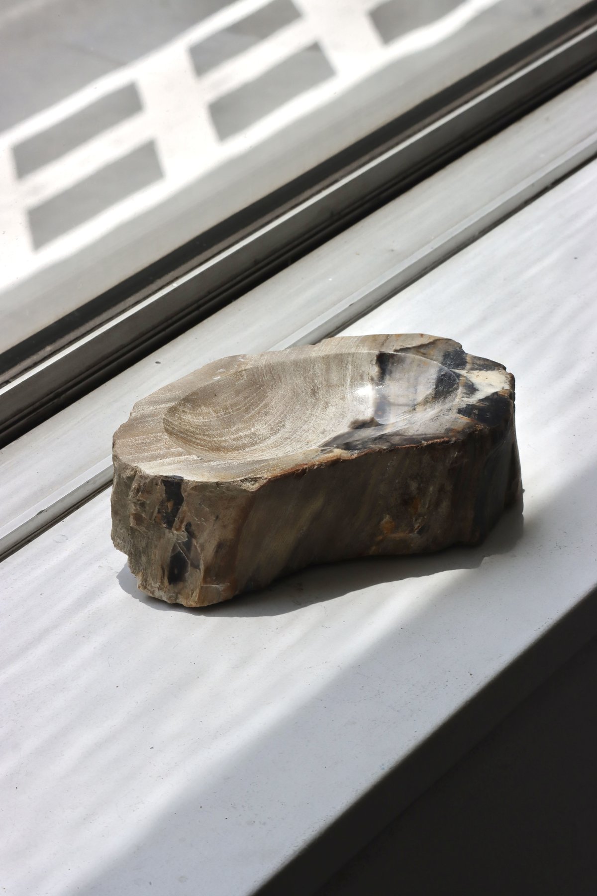 OAK ” Petrified Wood Accessory Tray - M #445