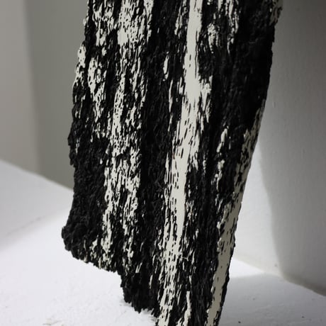 " Daiki Tado " Nature or Nurture