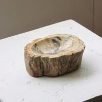 " OAK ” Petrified Wood Accessory Tray - S  #410