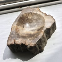 " OAK ” Petrified Wood Accessory Tray - S #433