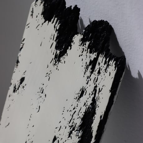 " Daiki Tado " Nature or Nurture