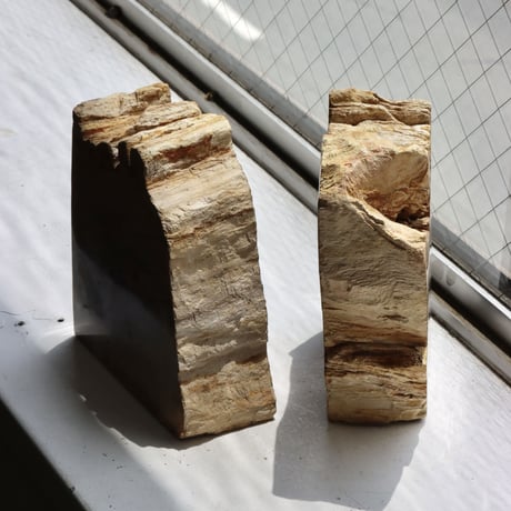 " OAK ” Petrified Wood Bookend - M #002
