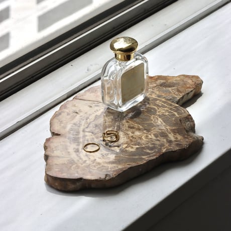 " OAK ” Petrified Wood Plate - S