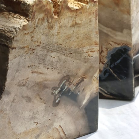 " OAK ” Petrified Wood Bookend - M #002