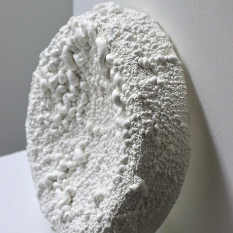 " Ryota Akiyama " Crack and Shrink