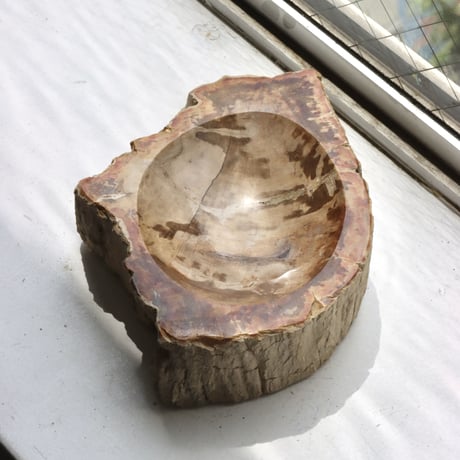 " OAK ” Petrified Wood Accessory Tray - S  #422