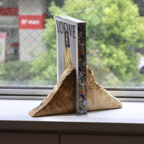 " OAK ” Petrified Wood Bookend - S #003