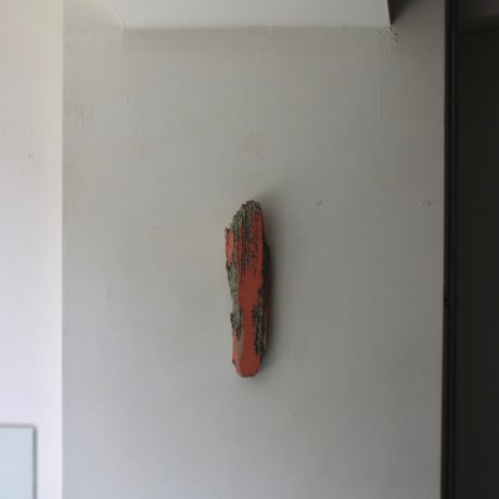 " Daiki Tado " Nature or Nurture