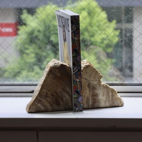 " OAK ” Petrified Wood Bookend - S #002