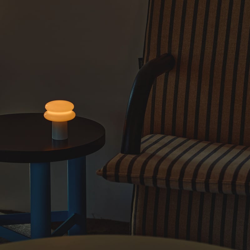 貴重な小判標本 動物 生物 ガーゼハンカチ 標本BOX ダイオウグソクムシ / カロラータ