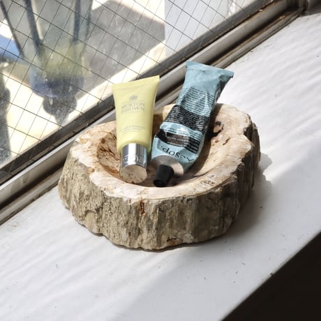 " OAK ” Petrified Wood Accessory Tray - M #418
