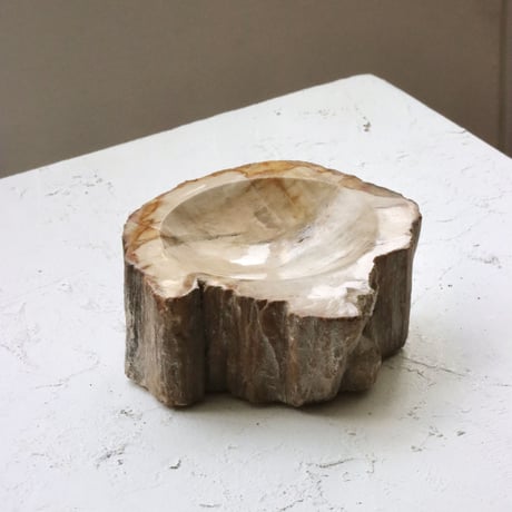 " OAK ” Petrified Wood Accessory Tray - S #421