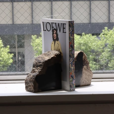 " OAK ” Petrified Wood Bookend - M #003