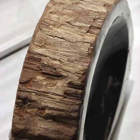 " OAK ” Petrified Wood Accessory Tray - S #440