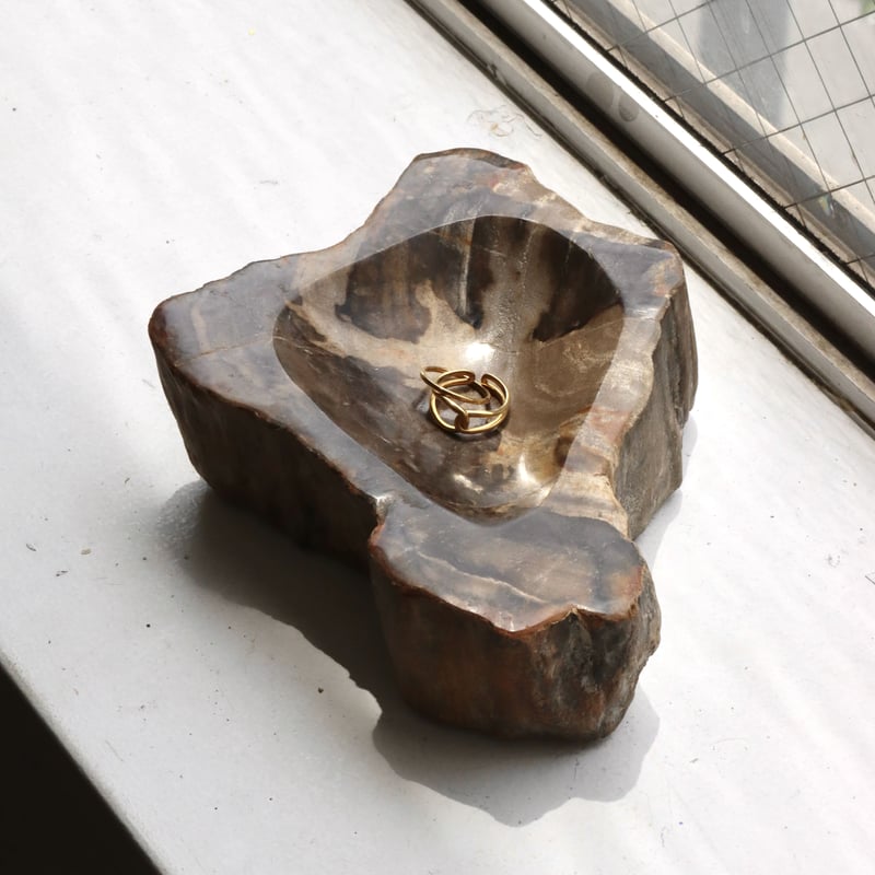 OAK ” Petrified Wood Accessory Tray - S #423