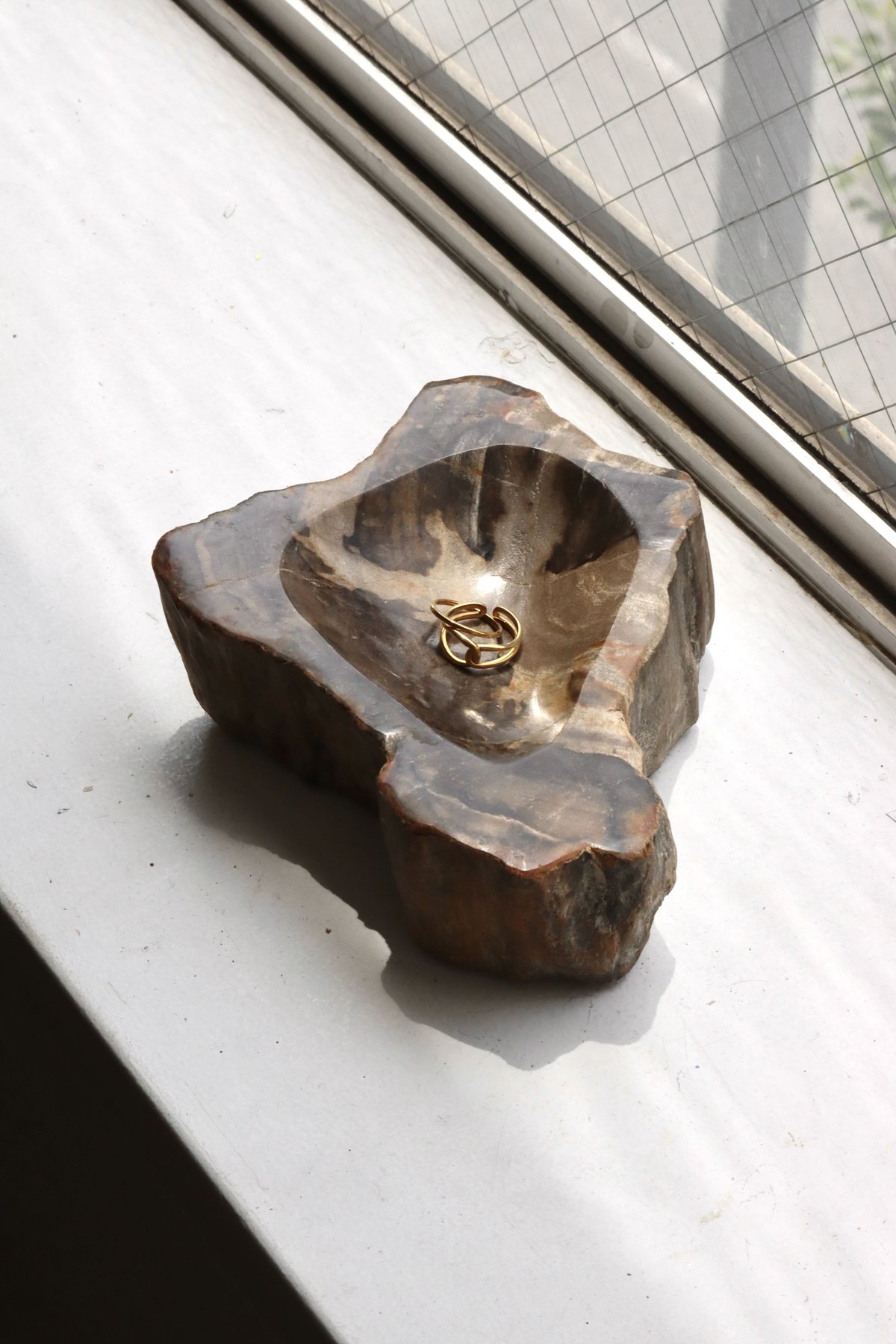 OAK ” Petrified Wood Accessory Tray - S #423