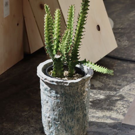 "SHOKKI" Planter