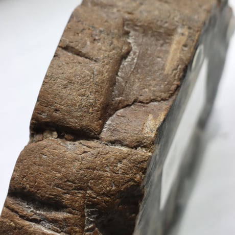 " OAK ” Petrified Wood Accessory Tray - S #430