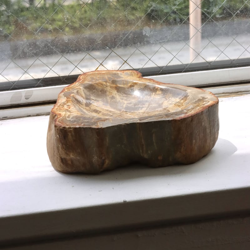 OAK ” Petrified Wood Accessory Tray - M #411