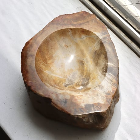 " OAK ” Petrified Wood Accessory Tray - M #402