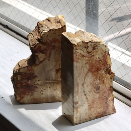 " OAK ” Petrified Wood Bookend - M #001