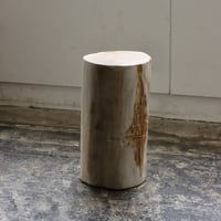 " OAK ” Petrified Wood Stool #003