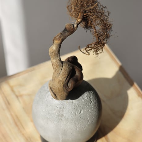 " KELEN OBJECT ” KON - S no.133
