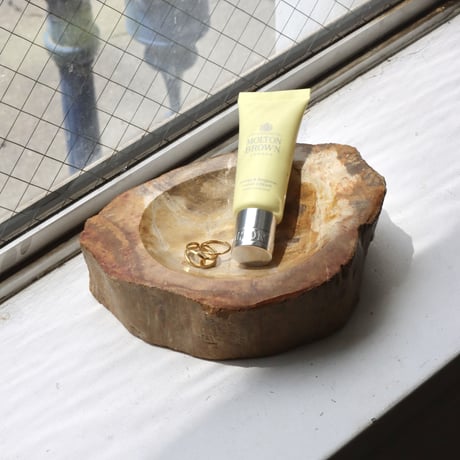 " OAK ” Petrified Wood Accessory Tray - M #402