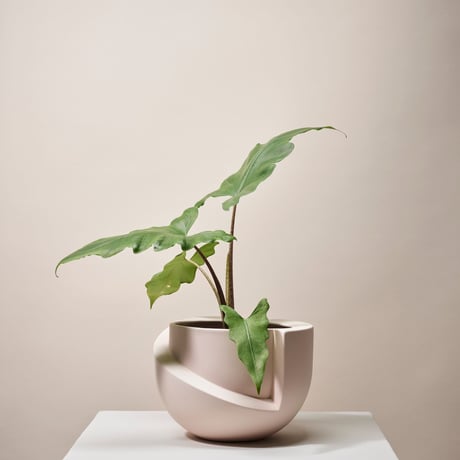 "Light&Ladder" VAYU ceramic tabletop planter - blush -