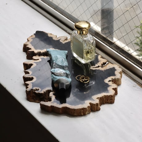 " OAK ” Petrified Wood Plate - M #102