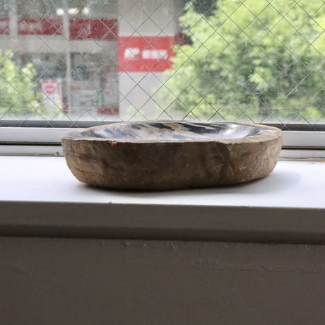 " OAK ” Petrified Wood Accessory Tray - M #401