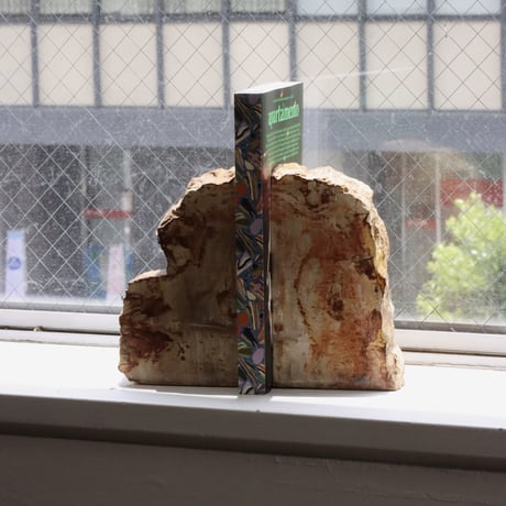 " OAK ” Petrified Wood Bookend - M #001
