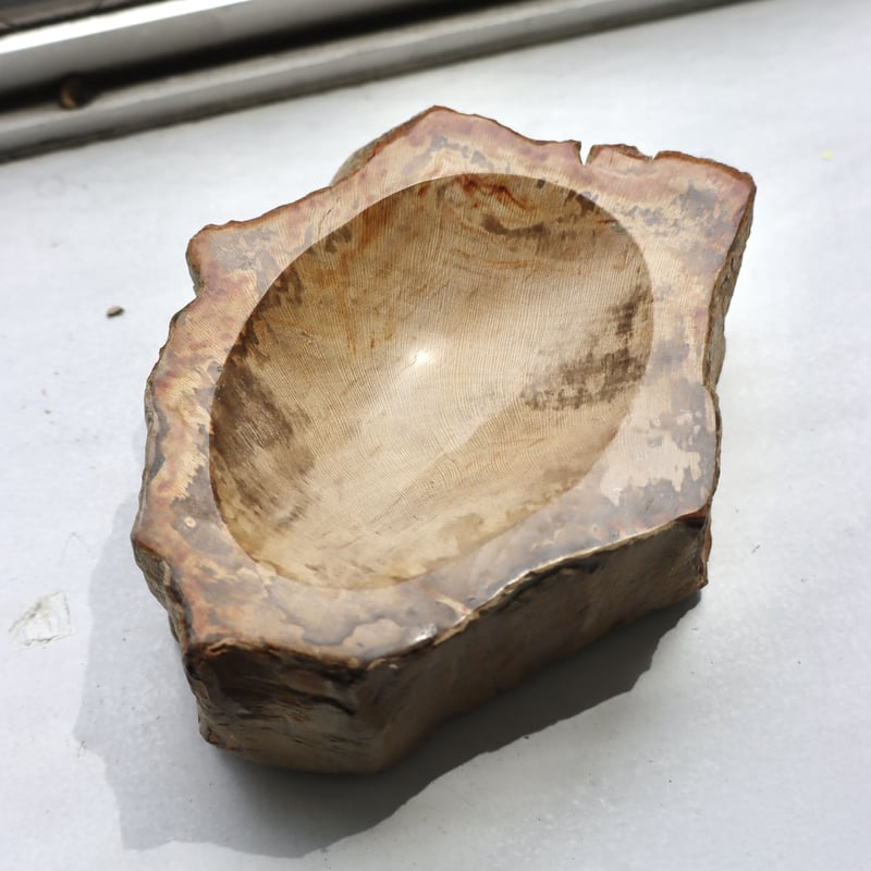 OAK ” Petrified Wood Accessory Tray - S #417