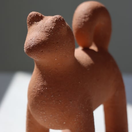 " KIKUCHI SHUNJI / 菊池 俊治 " 遠くをみつめる犬 - M