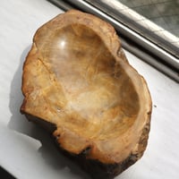 " OAK ” Petrified Wood Accessory Tray - M #406