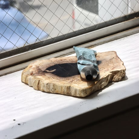 " OAK ” Petrified Wood Plate - S