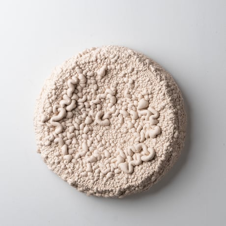 " Ryota Akiyama " Crack and Shrink