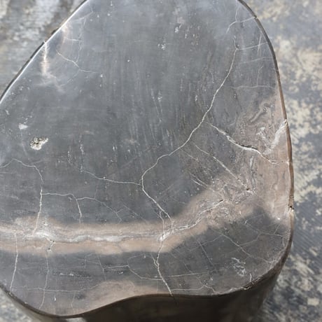 " OAK ” Petrified Wood Stool #001