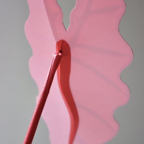 "Brazen Botany" SMALL PINK ELEPHANT EAR PLANT