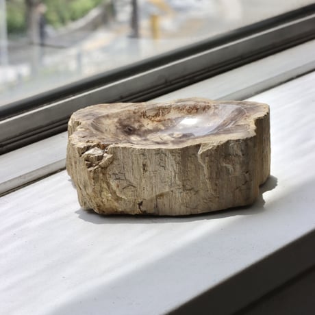 " OAK ” Petrified Wood Accessory Tray - S #446
