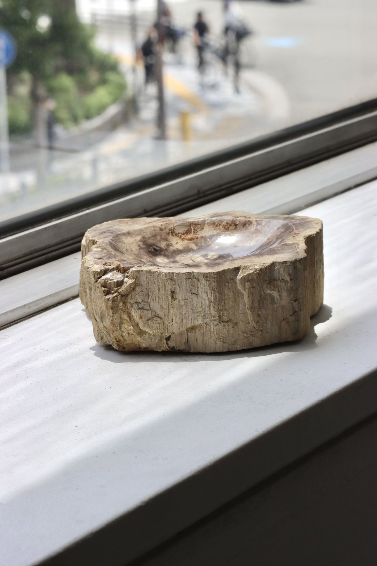 OAK ” Petrified Wood Accessory Tray - S #446