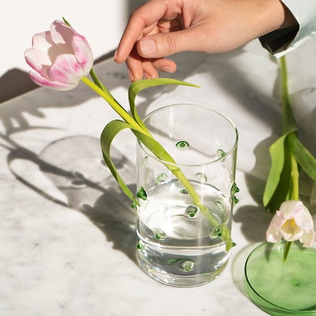 "OCTAEVO" Agave Glass Container Large