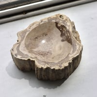 " OAK ” Petrified Wood Accessory Tray - S #431