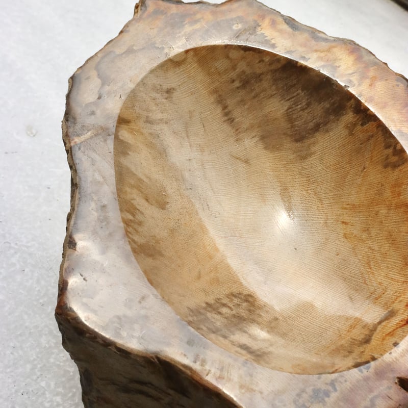 OAK ” Petrified Wood Accessory Tray - S #417