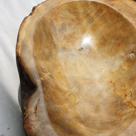 " OAK ” Petrified Wood Accessory Tray - M #406