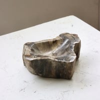 " OAK ” Petrified Wood Accessory Tray - S  #423