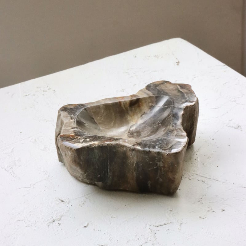 OAK ” Petrified Wood Accessory Tray - S #423