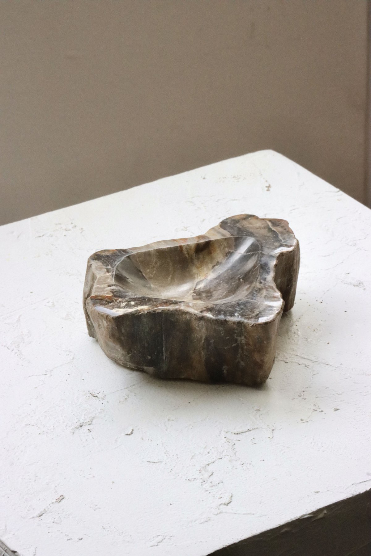 OAK ” Petrified Wood Accessory Tray - S #423