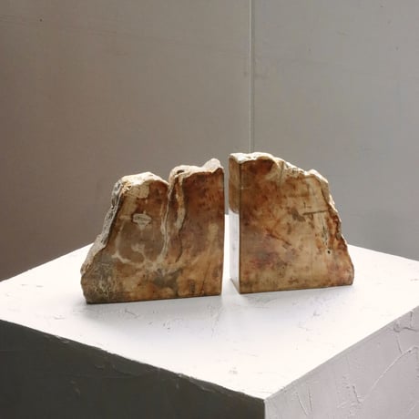 " OAK ” Petrified Wood Bookend - M #004